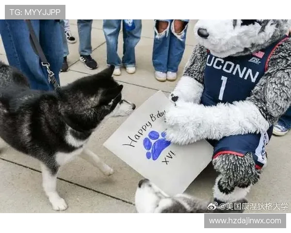 康涅狄格大学球员脚踩哈士奇PE球鞋引发媒体热议